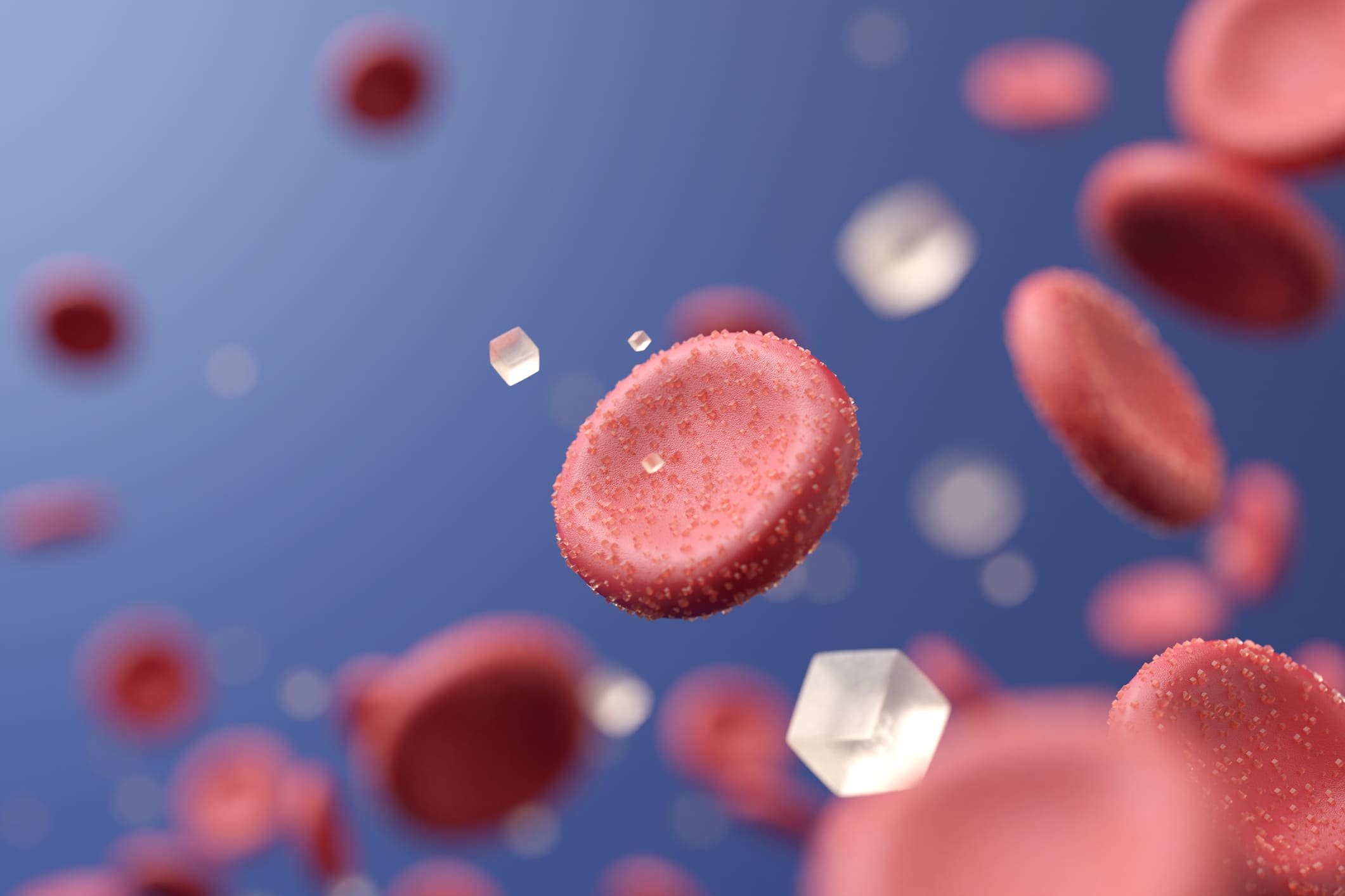 Prävention mit HAFERLÖWE – Wie Du Deinen Blutzucker stärken und DIA2® vorbeugen kannst