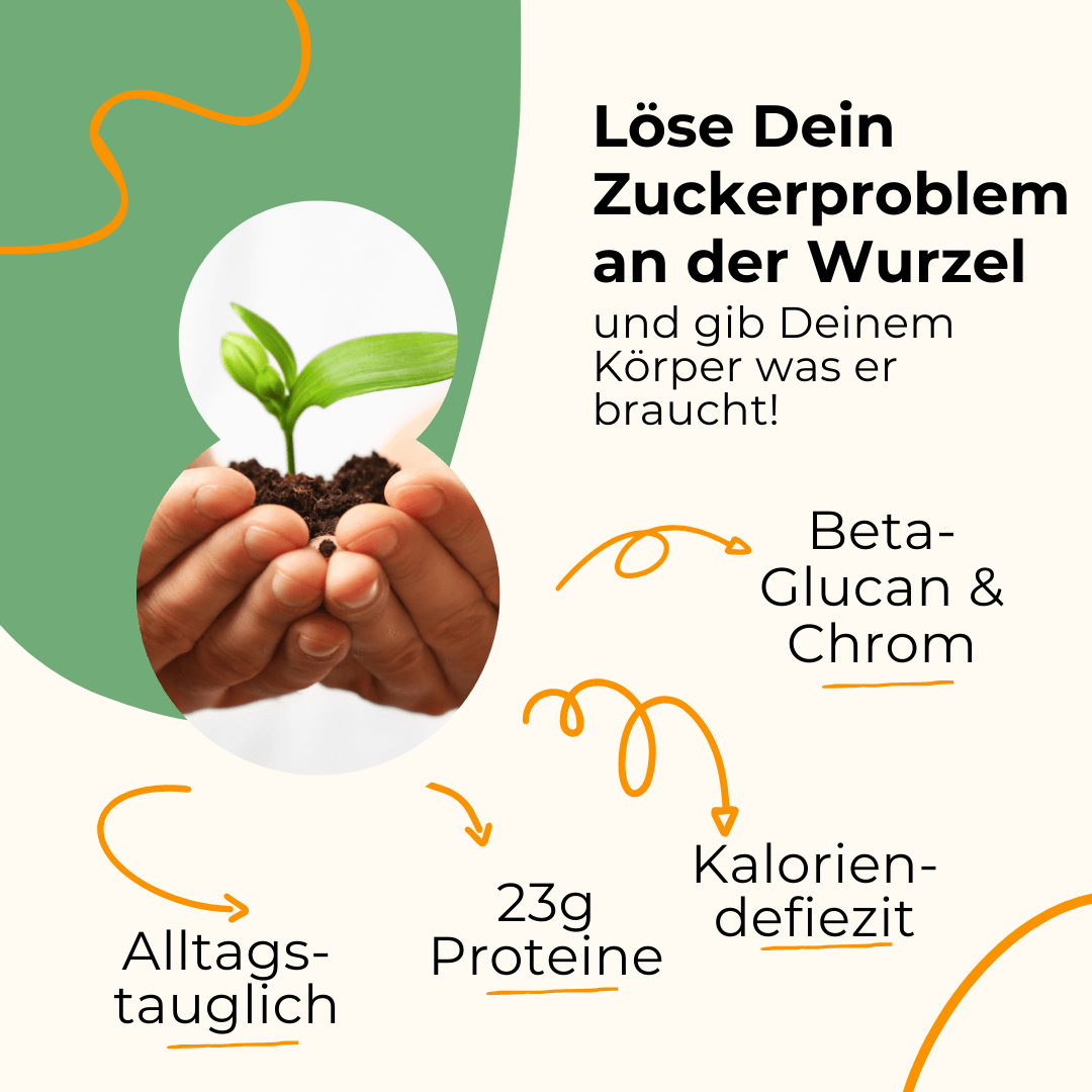 4 Wochen Starter-Set-1