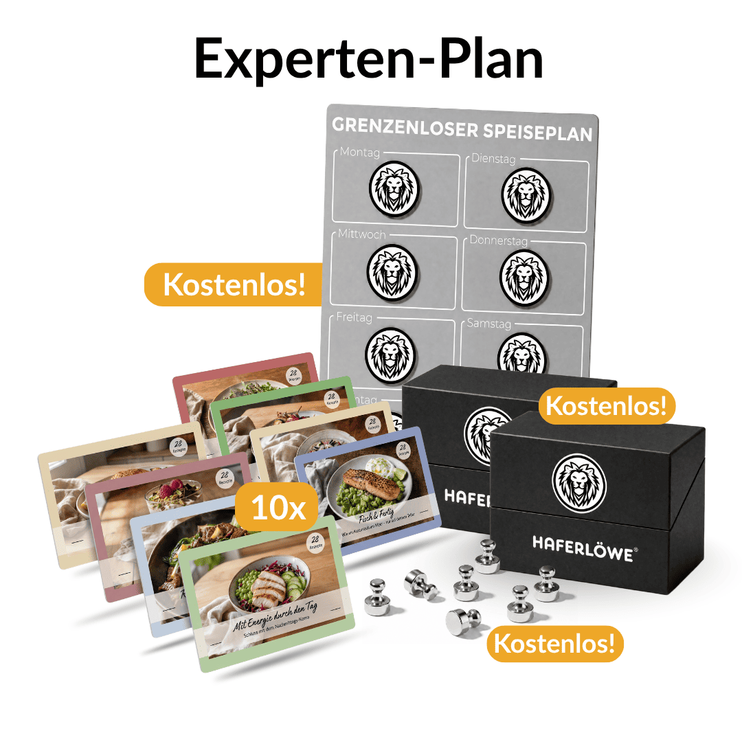 #SETS_Experten-Plan