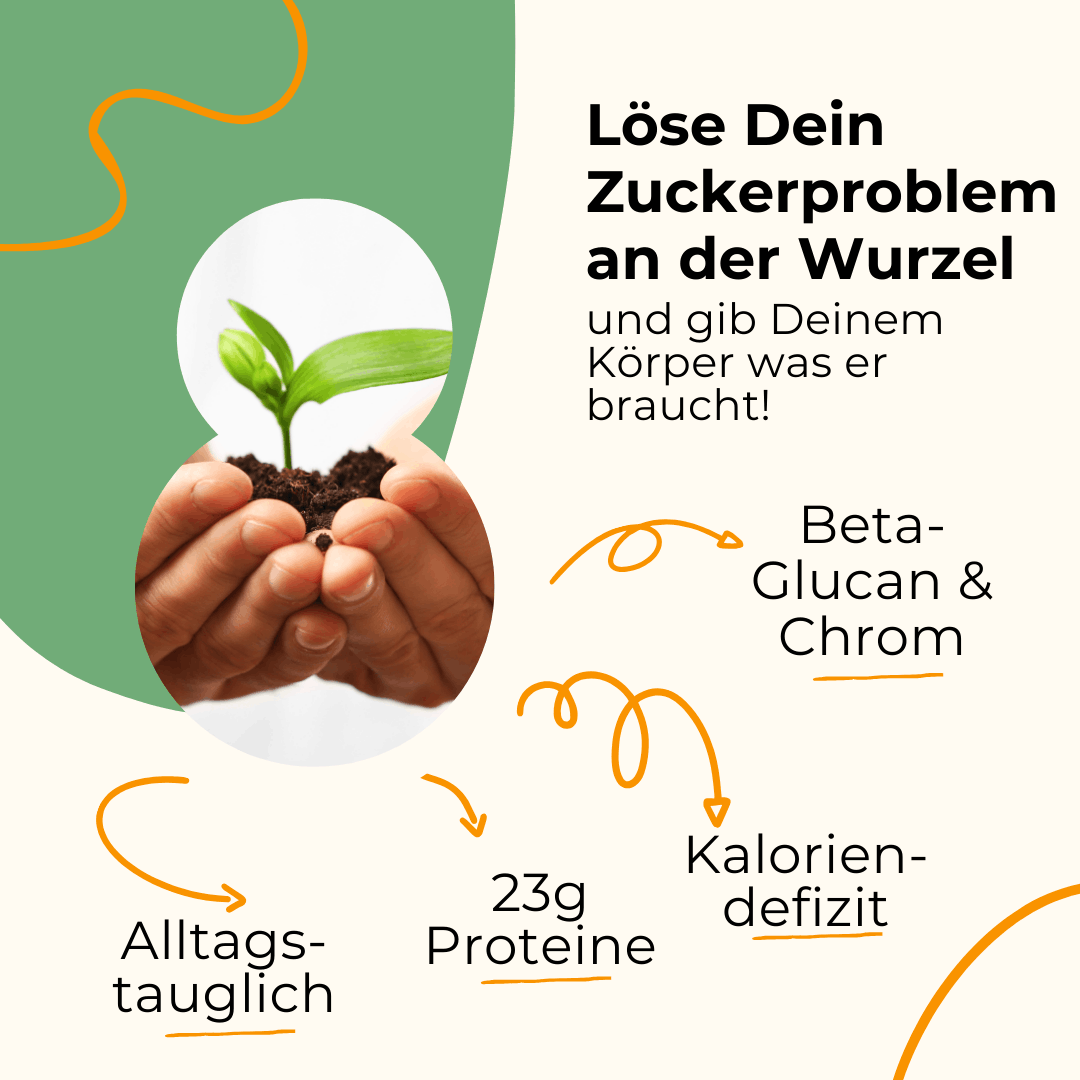 4 Wochen Starter-Set-3